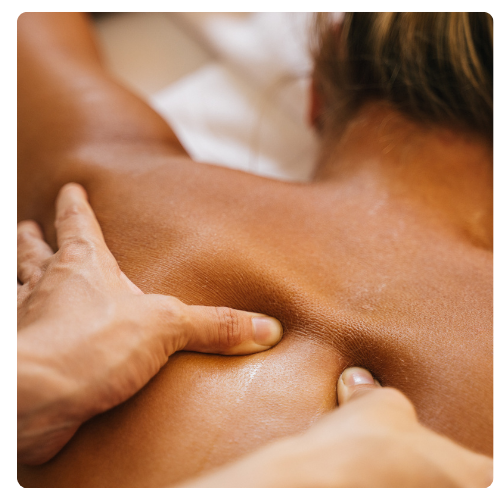 serviciostoquenaturalredondos(3)